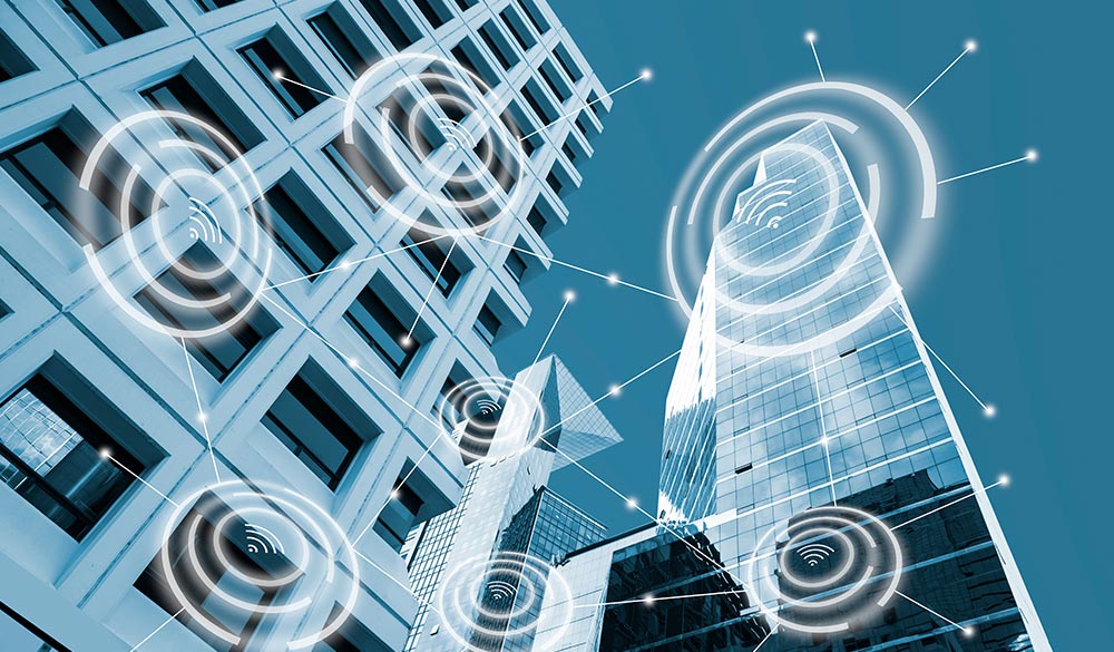 Network Management Solutions for School